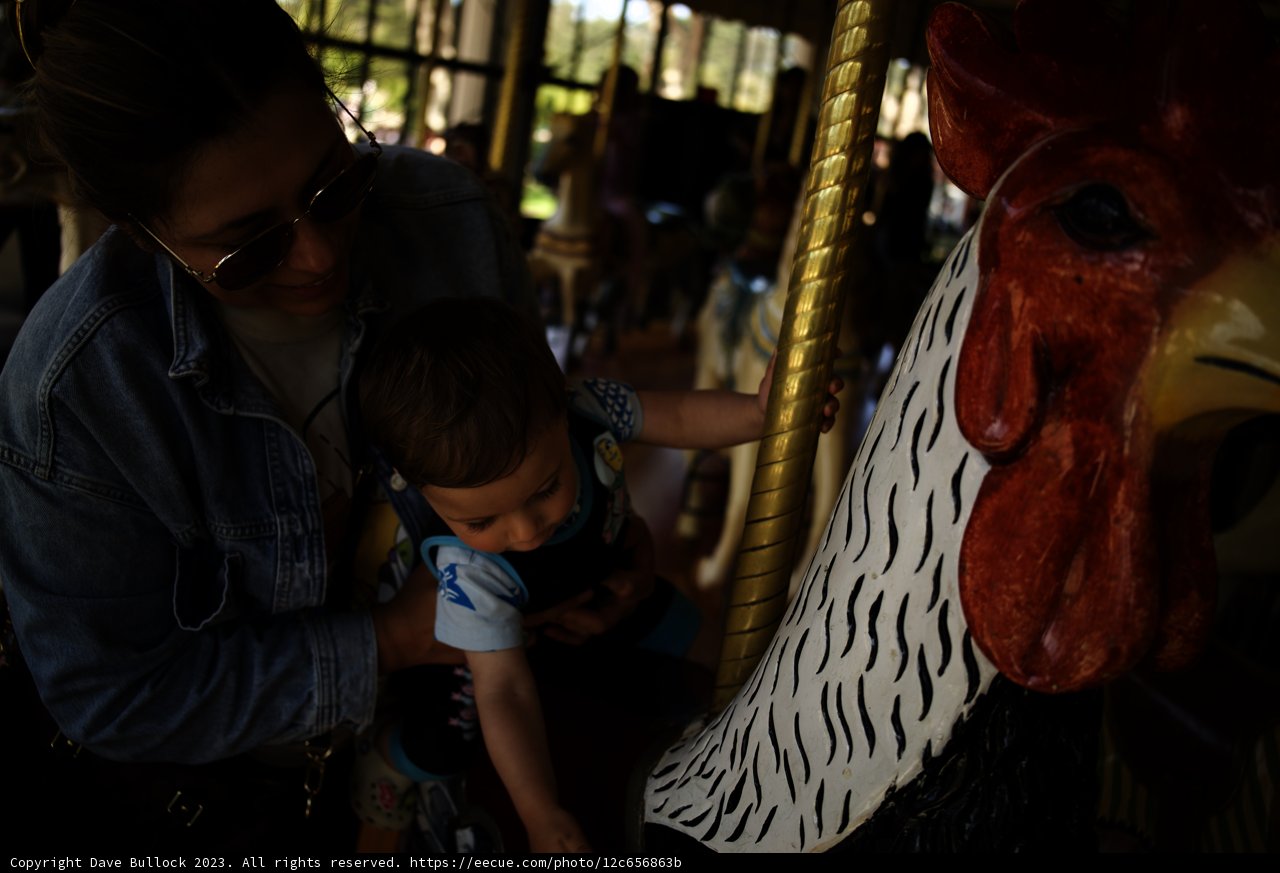 Capturing Jubilance: Carousel Ride at Golden Gate Park