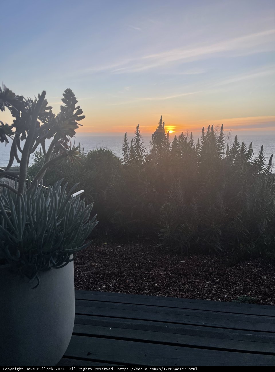 Sunset Serenity