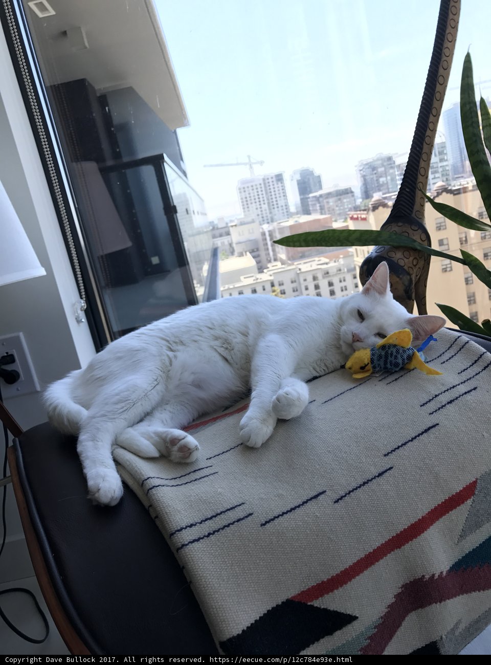 Relaxing Moments