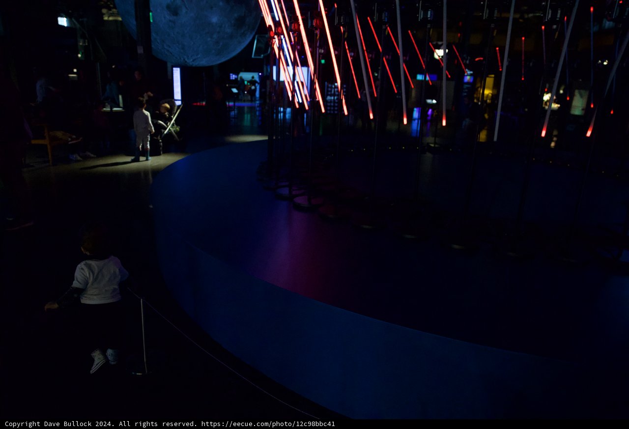 Light of Wonder: Young Dreamer at the Exploratorium