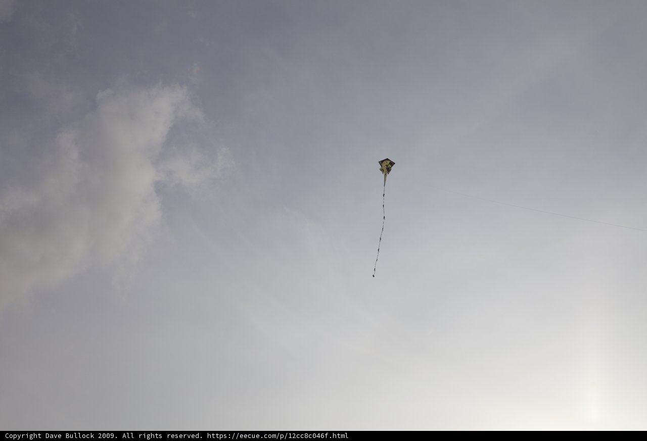 Soaring with the birds