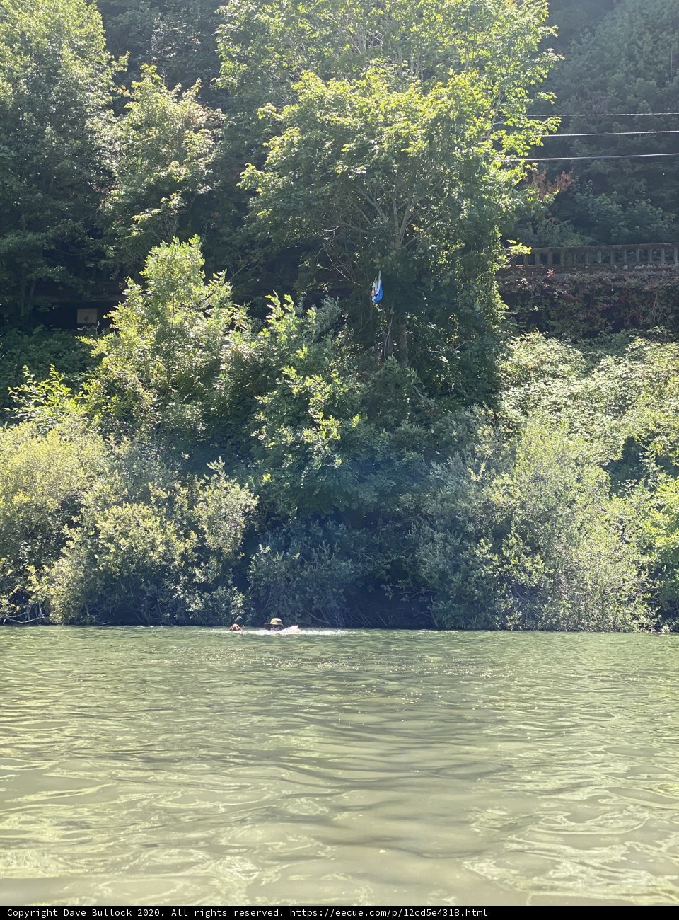 Serene Summer Float