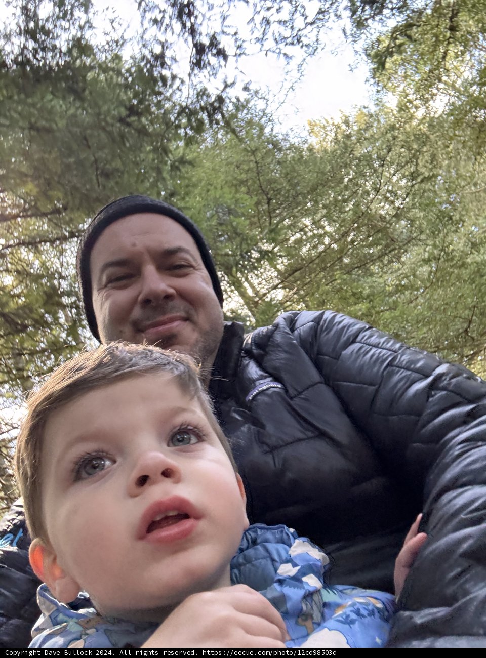 Forest Adventures in Tilden Park