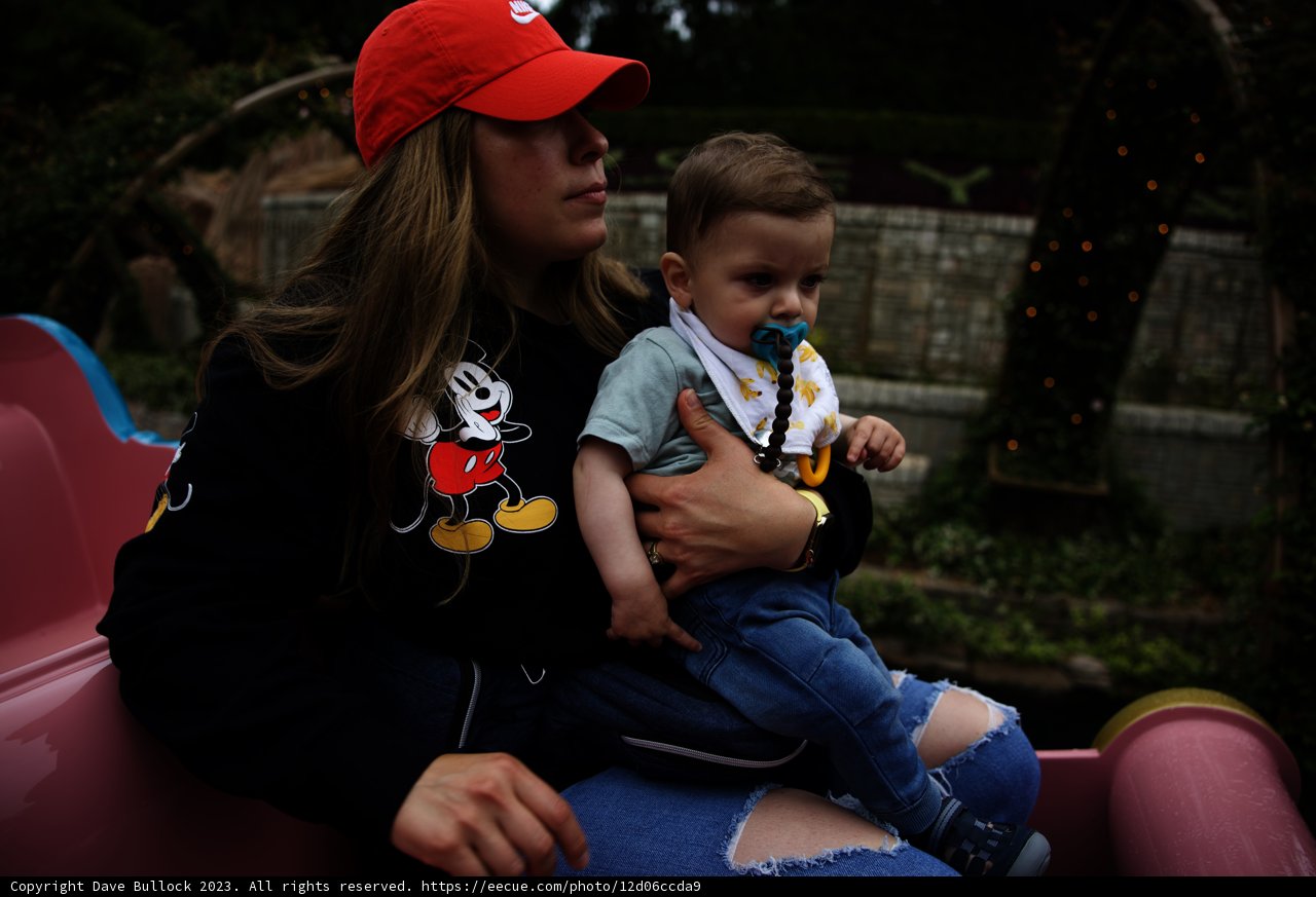 Magical Moments at Disneyland