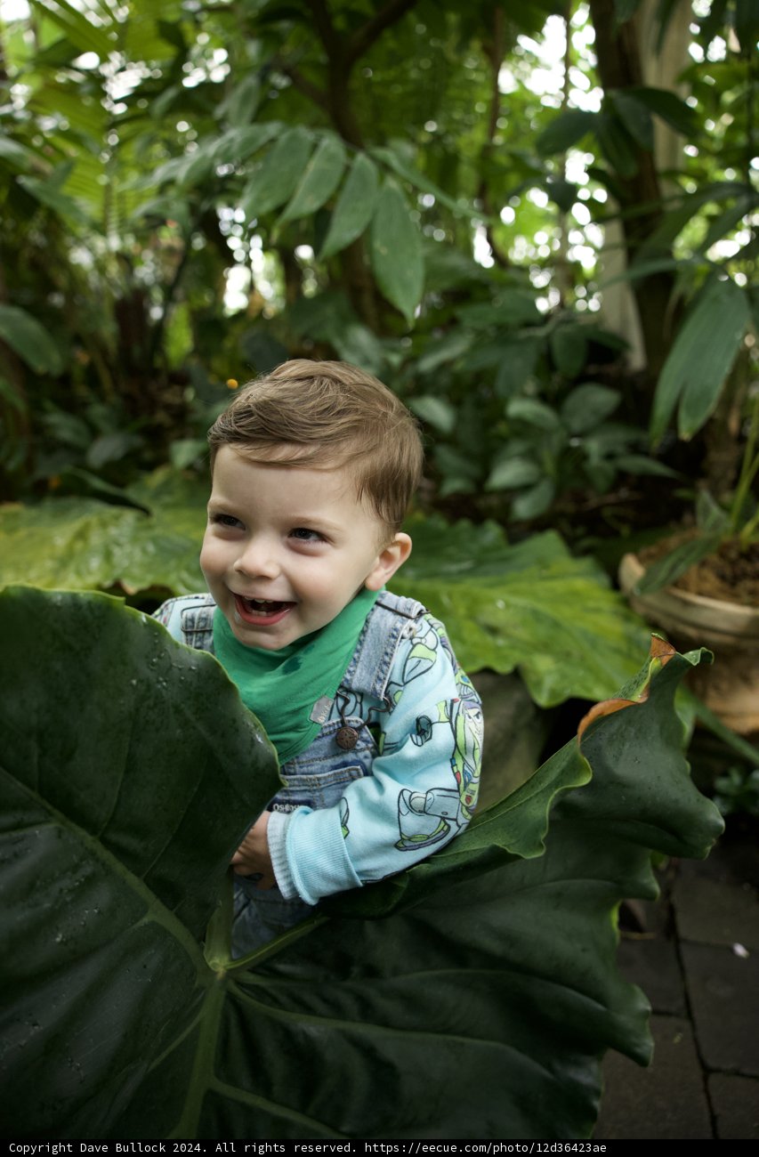 Nature's Joy