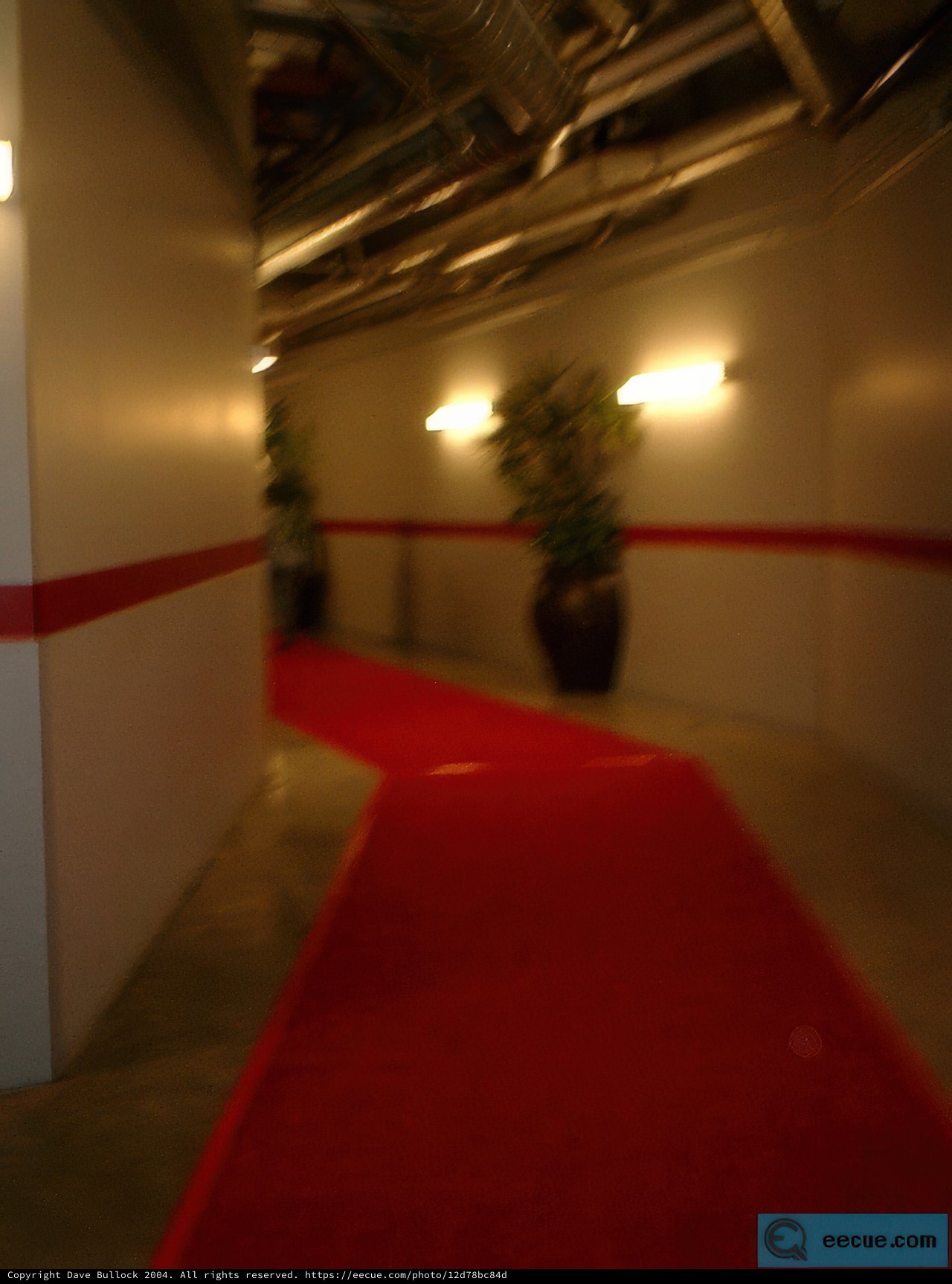 Fashionable Red Carpet Premiere