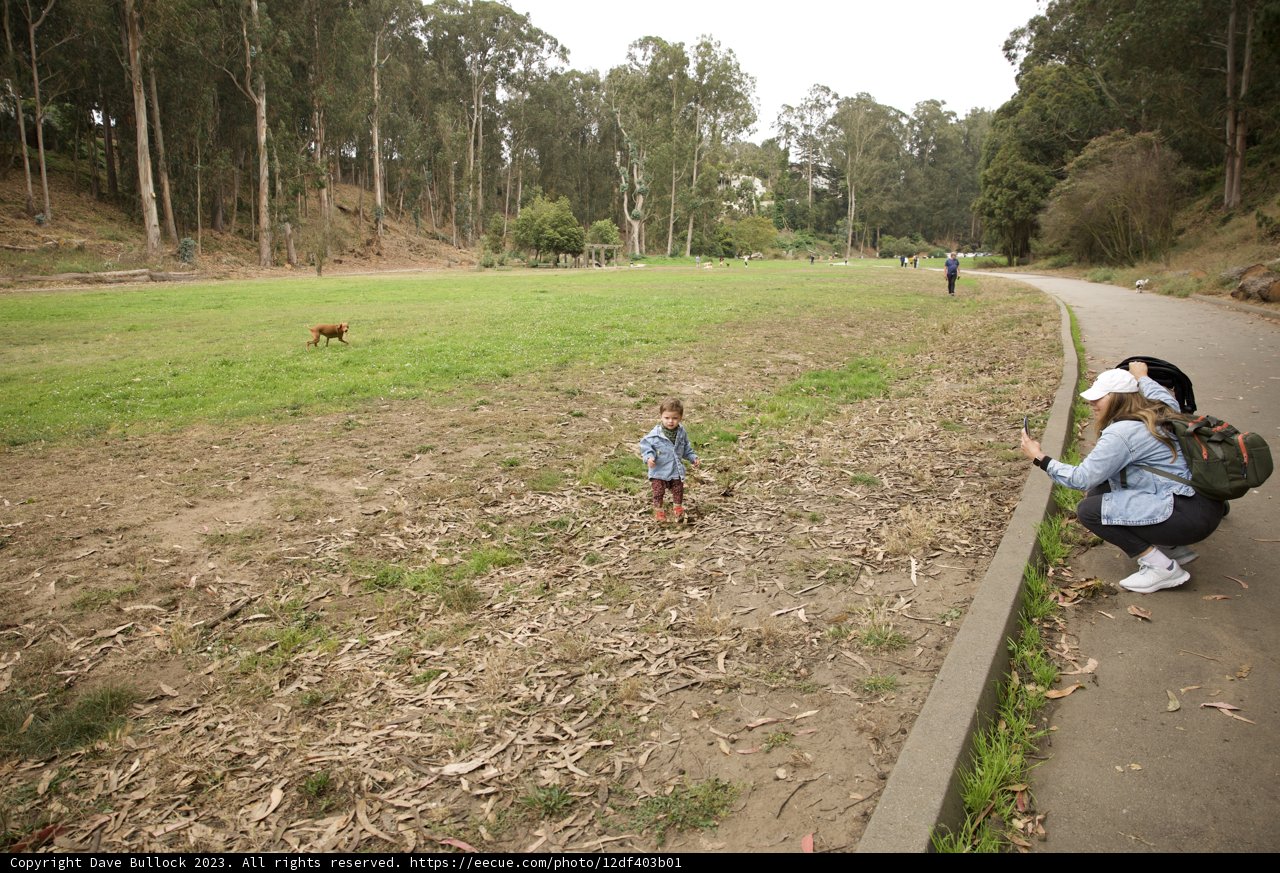 A Joyous Walk through Pine Lake Park