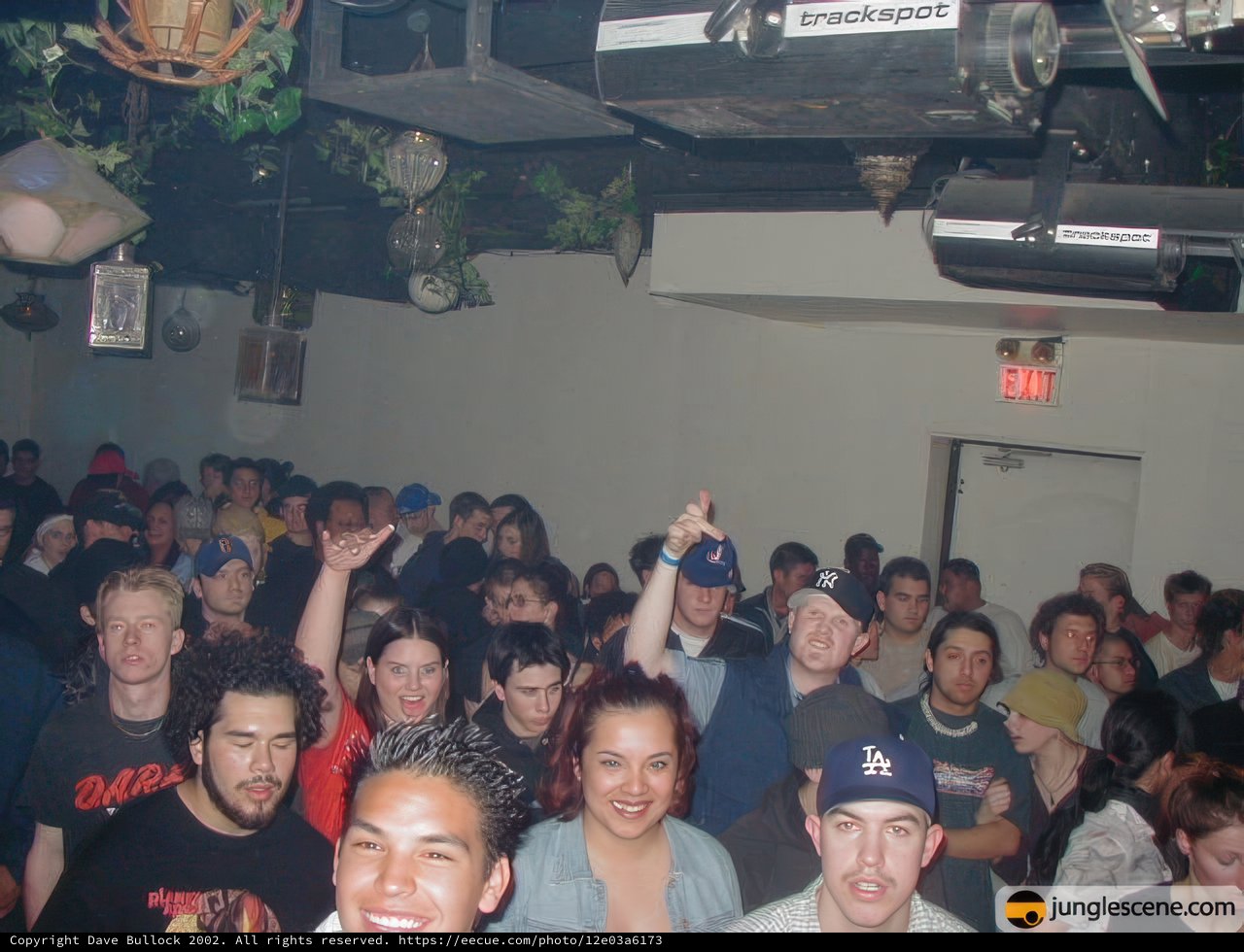 Night Club Fun