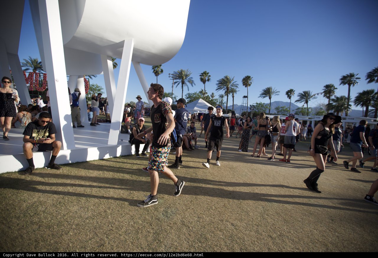 Festival Fun in the Sun