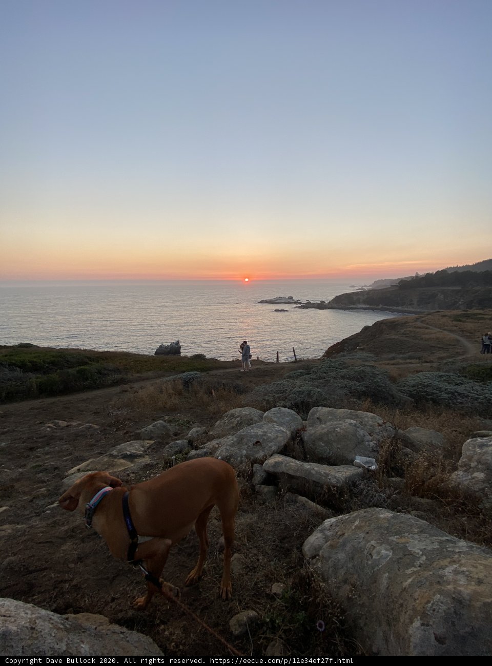 Rocky Sunset with Canine Companion