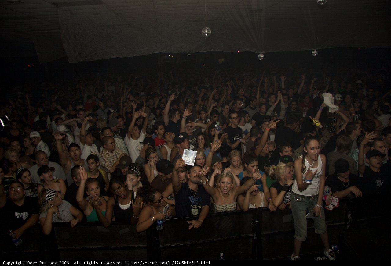 Raving with the Urban Crowd