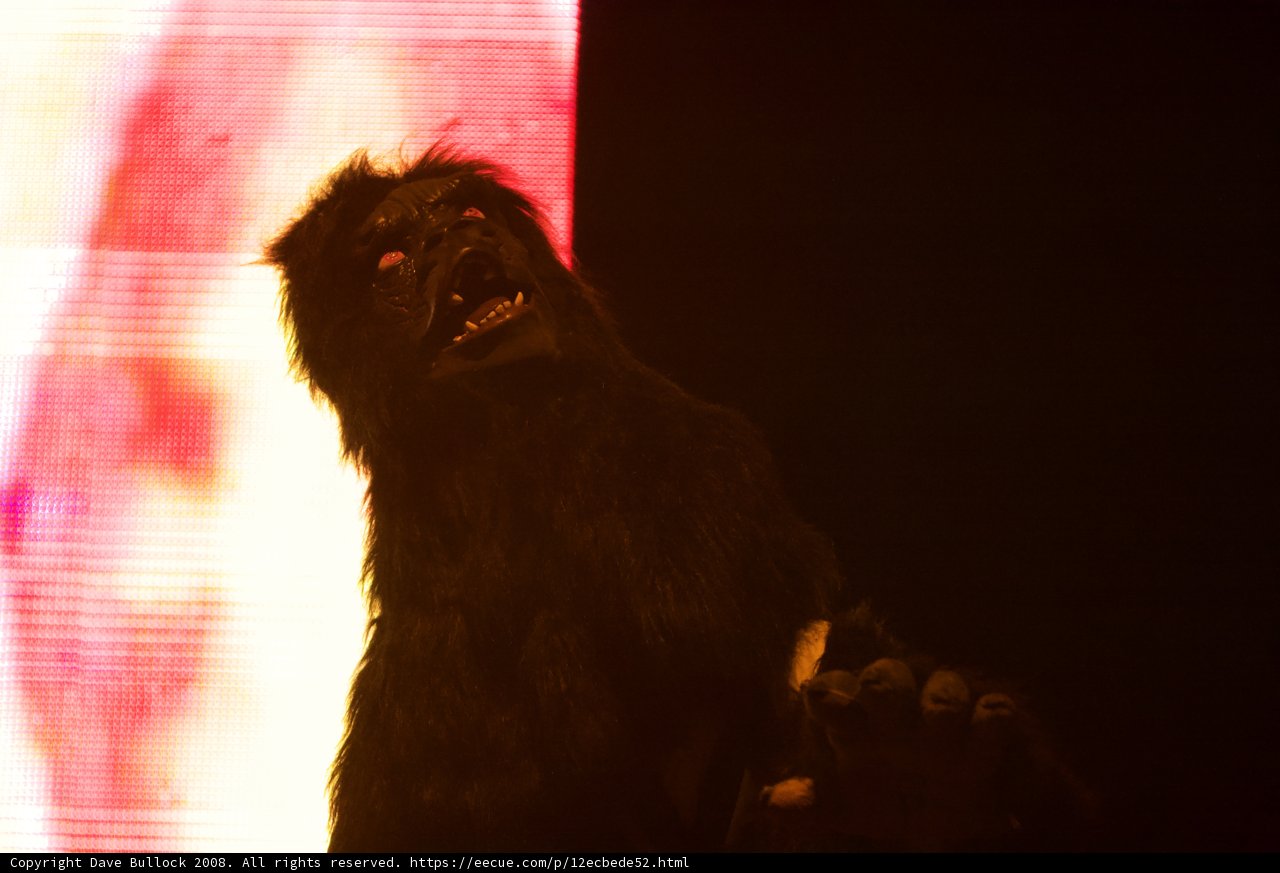Gorilla Takes the Stage