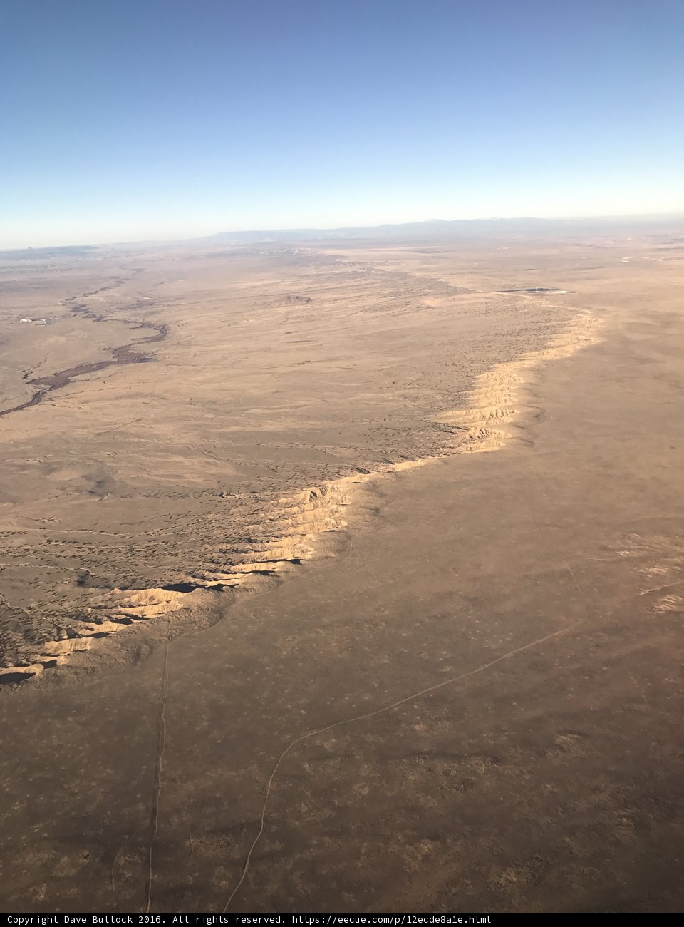 Serene Oasis in the Desert