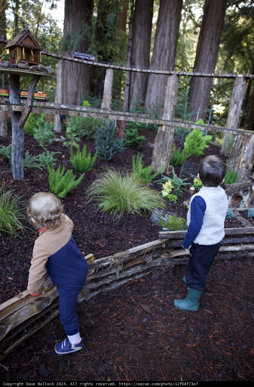 Enchanted Explorers in Thistlewyck Grove
