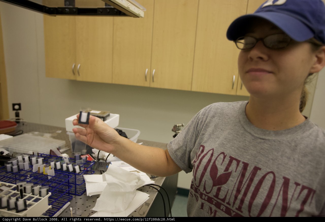Scientist Examines Microscopic Objects