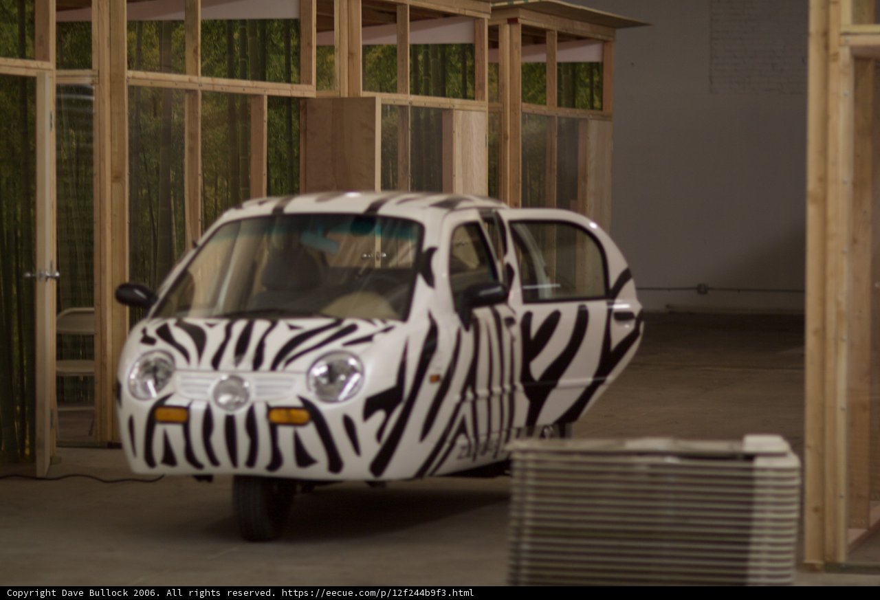 Zebra on Wheels