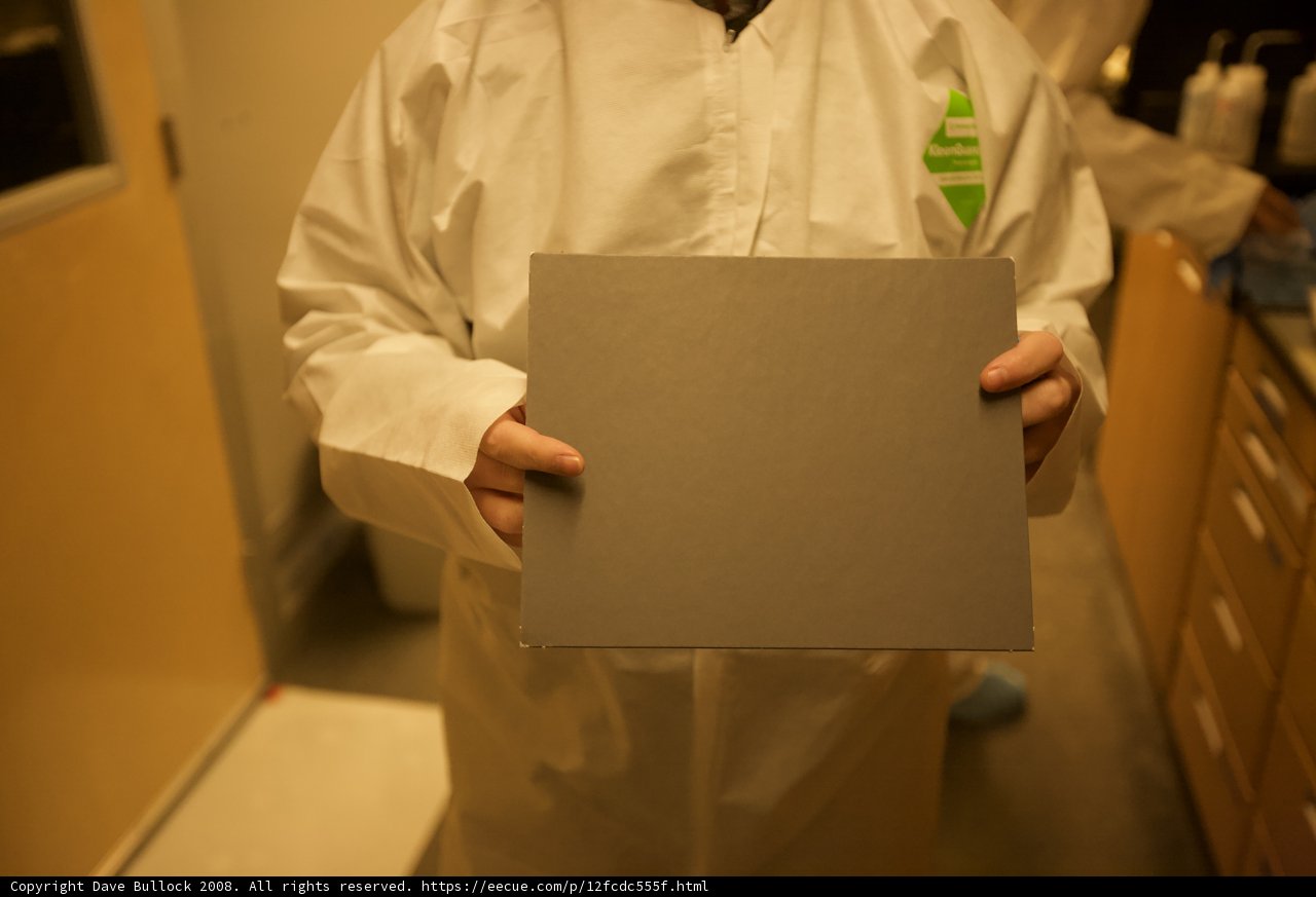 Scientist Examining Research Results