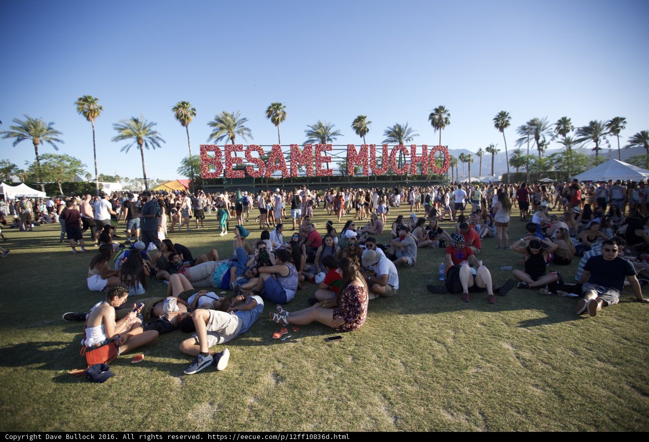 The Coachella Experience