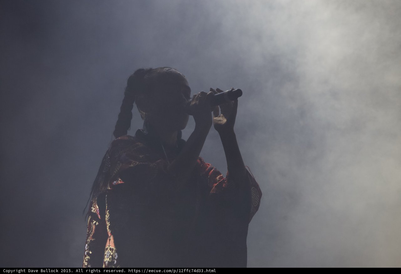 FKA twigs Silhouette Portrait Profile Singing Microphone Braided Ponytails Red Brocade Kimono Heavy White Backlit Haze
