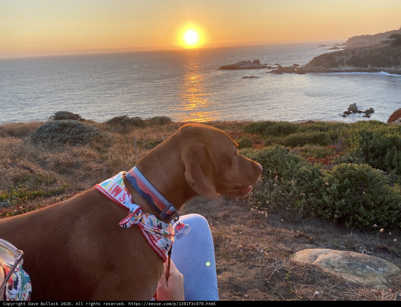 Overlooking the Majestic Coast