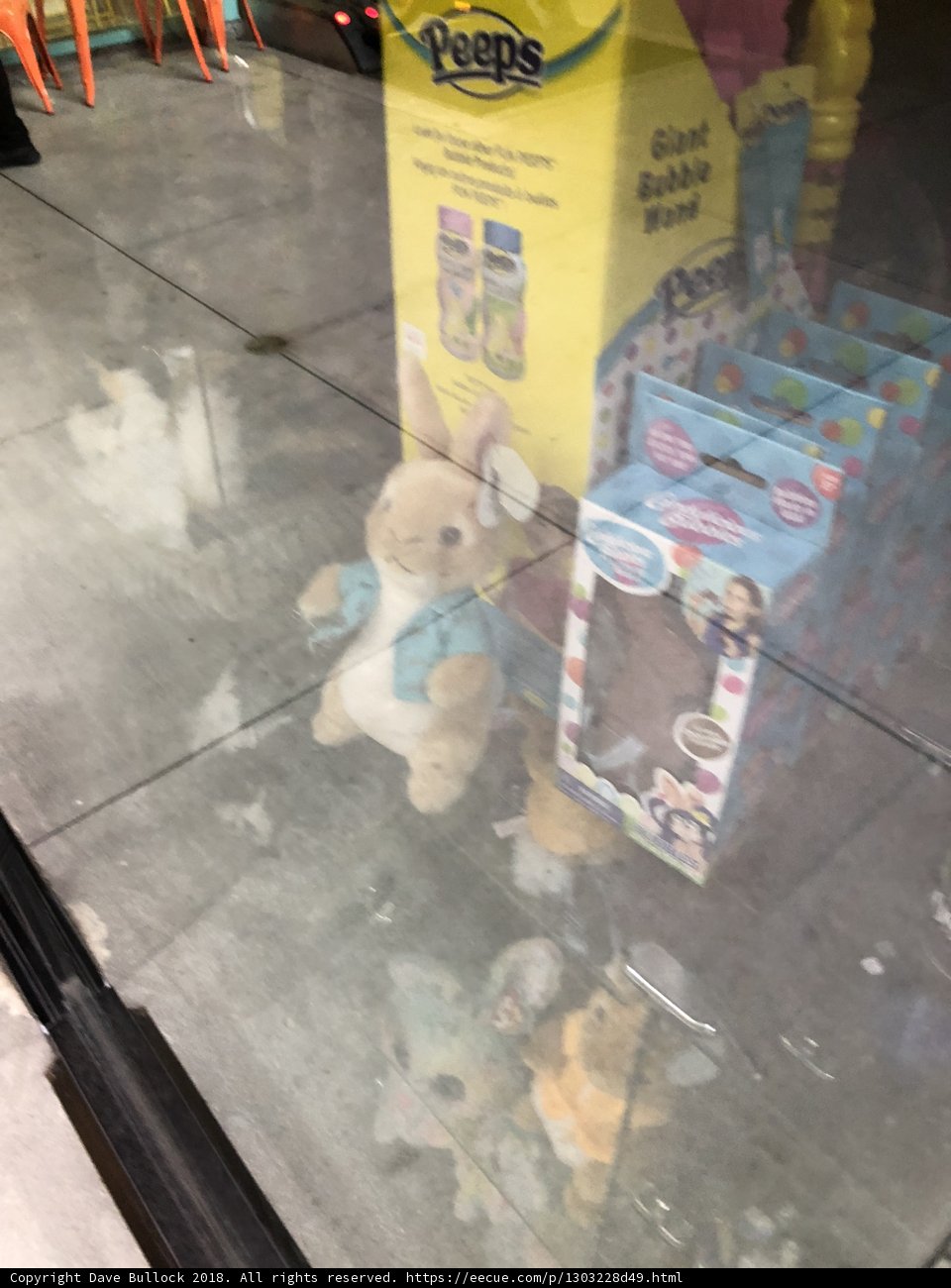 Window Display