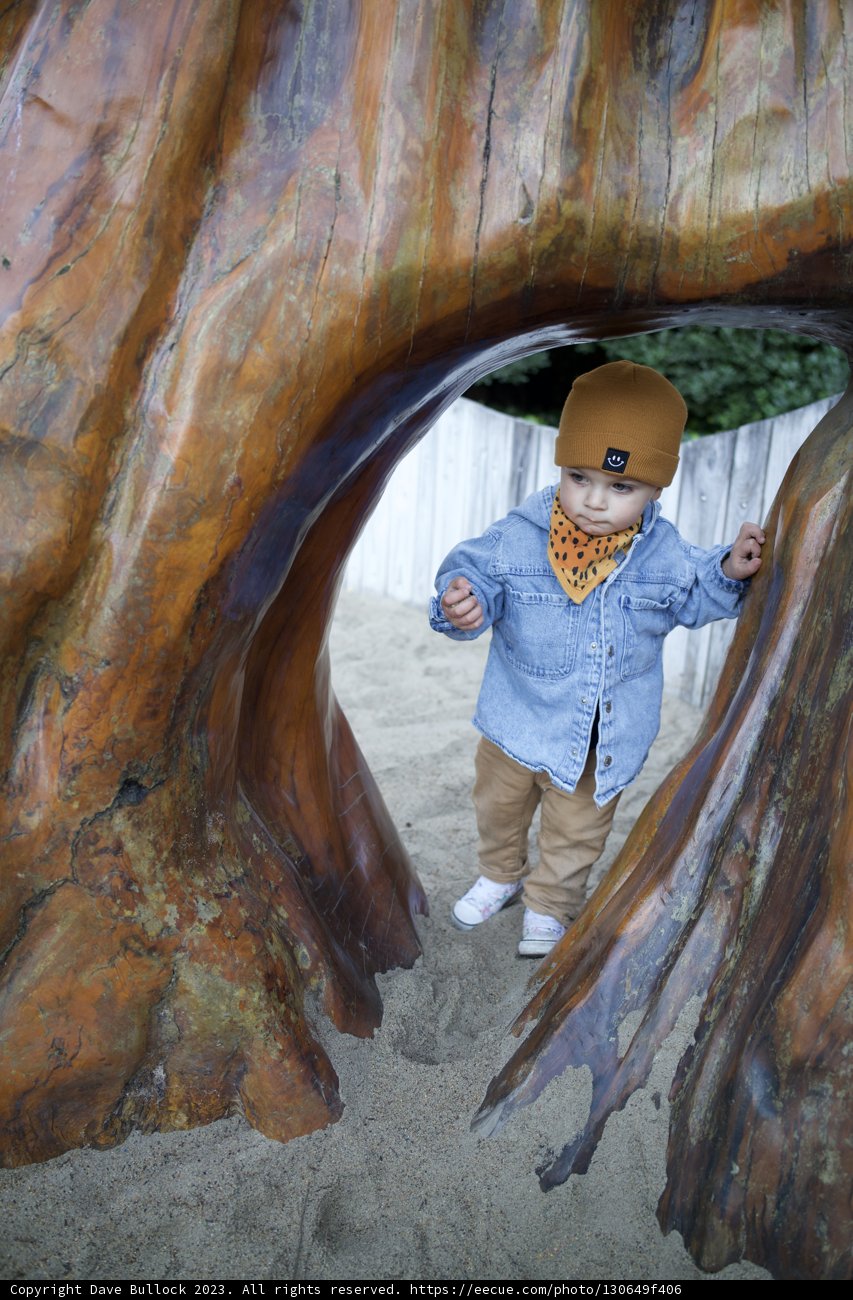 Exploring Nature's Marvels