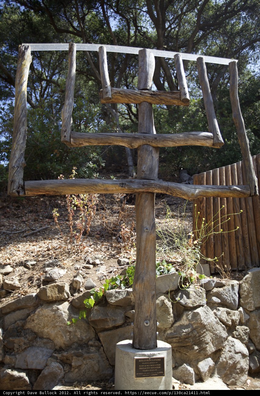 Tree of Adventure