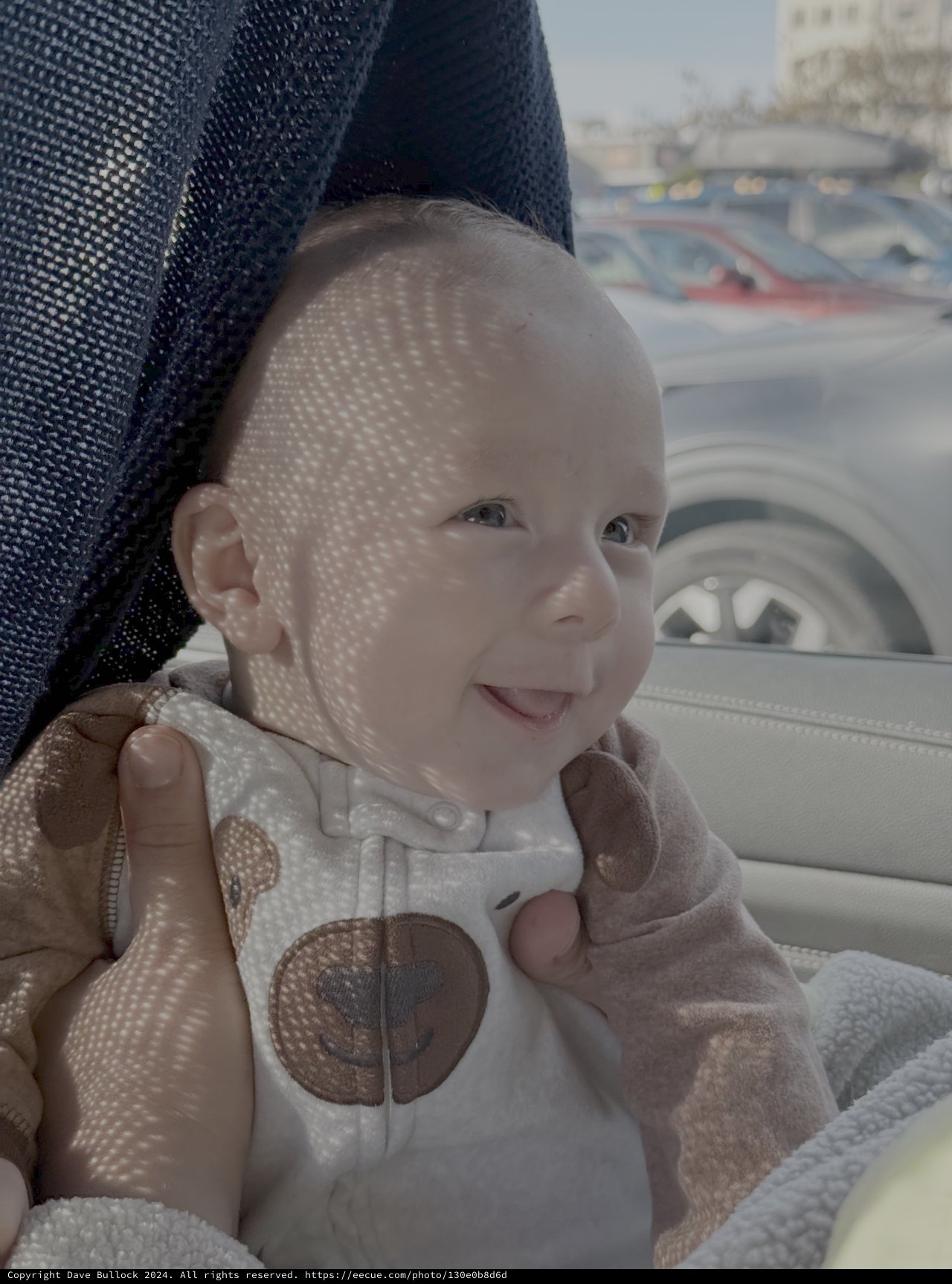 Baby's First Car Ride in Sunlight
