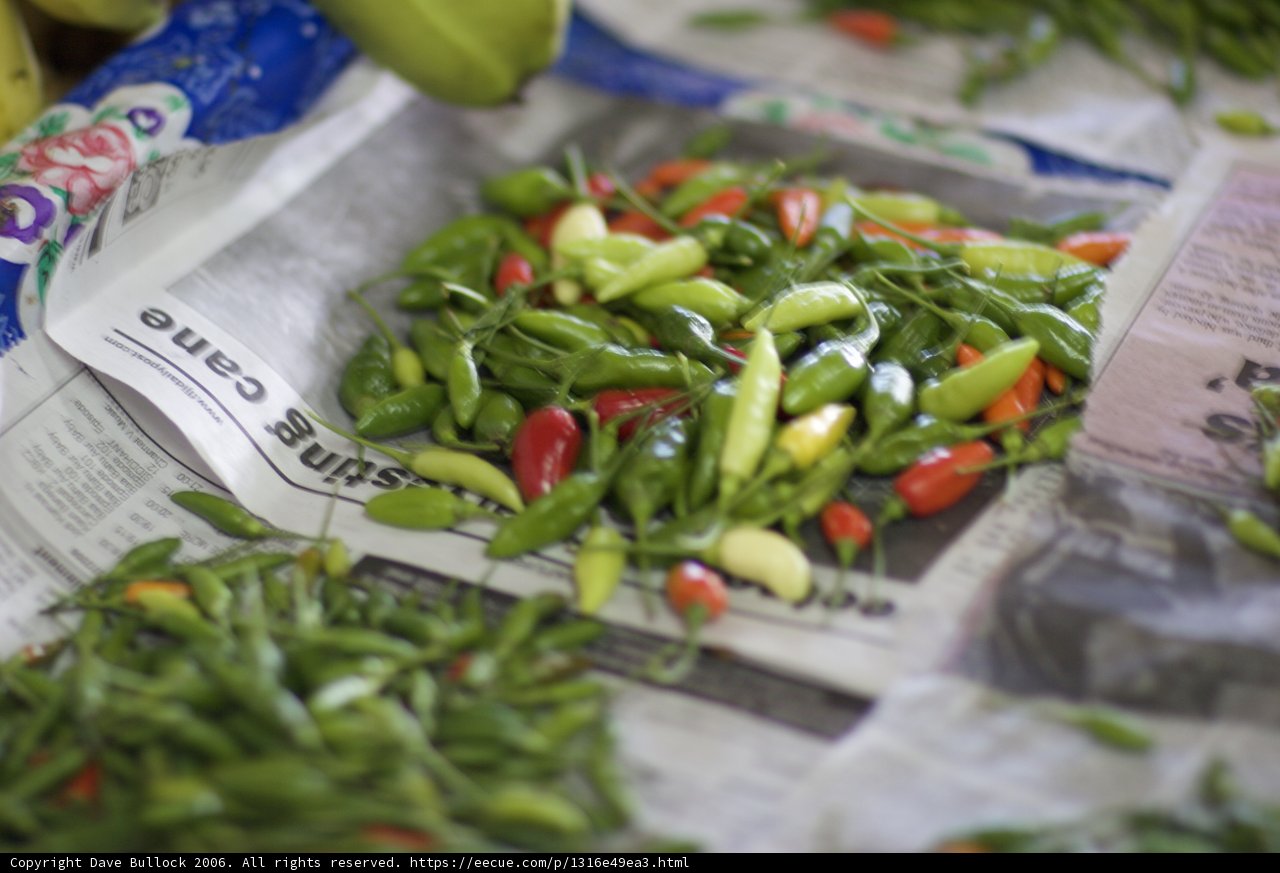 A Bounty of Colorful Produce