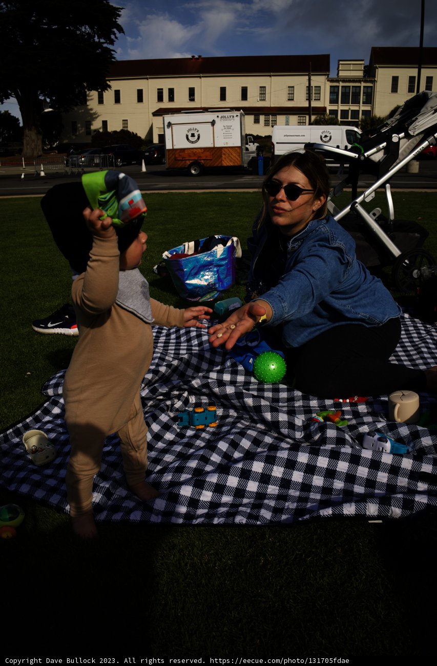 Sun-Soaked Summer Picnic in Presidio