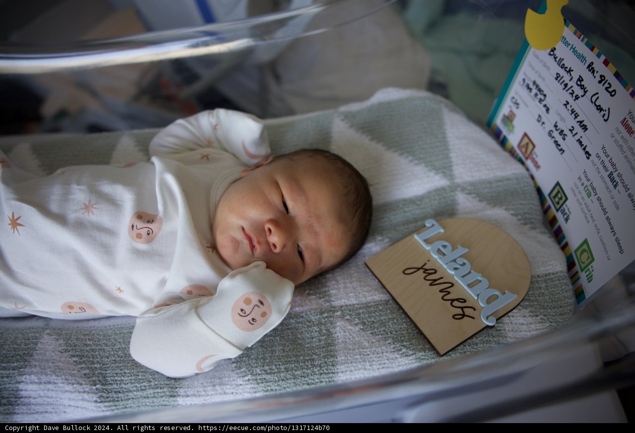 Welcome to the World, Leland