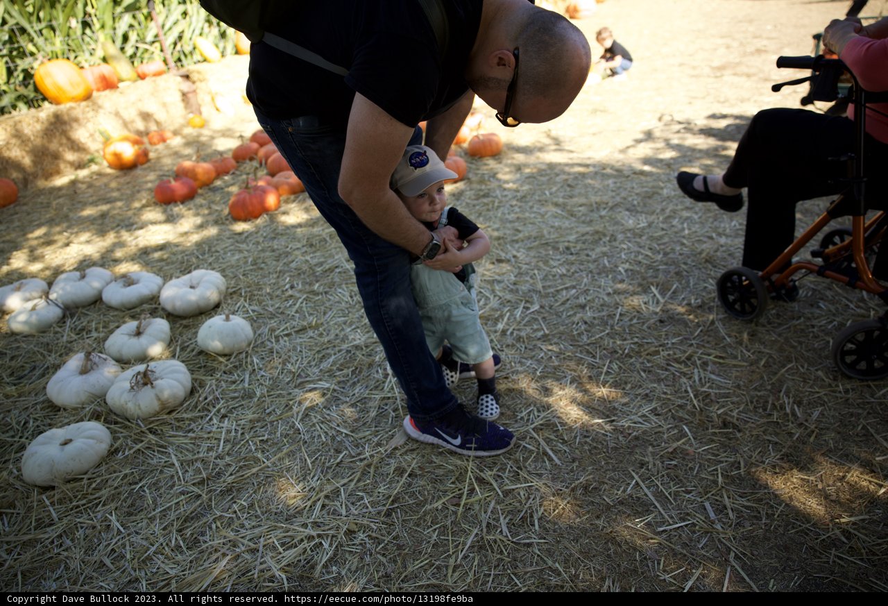 Harvest Time - Family Moments in the Pumpkin Patch