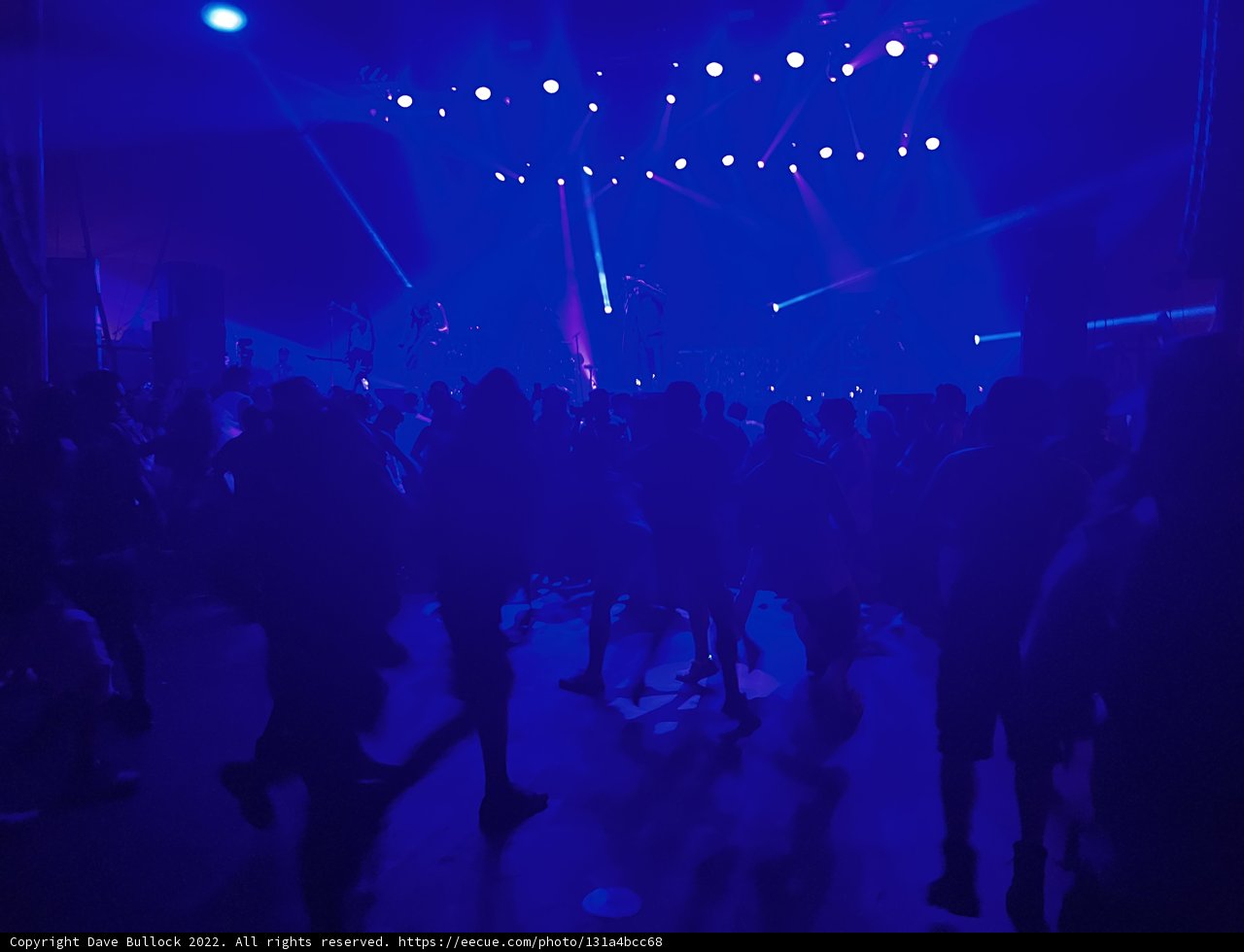 Blue Lit Revellers