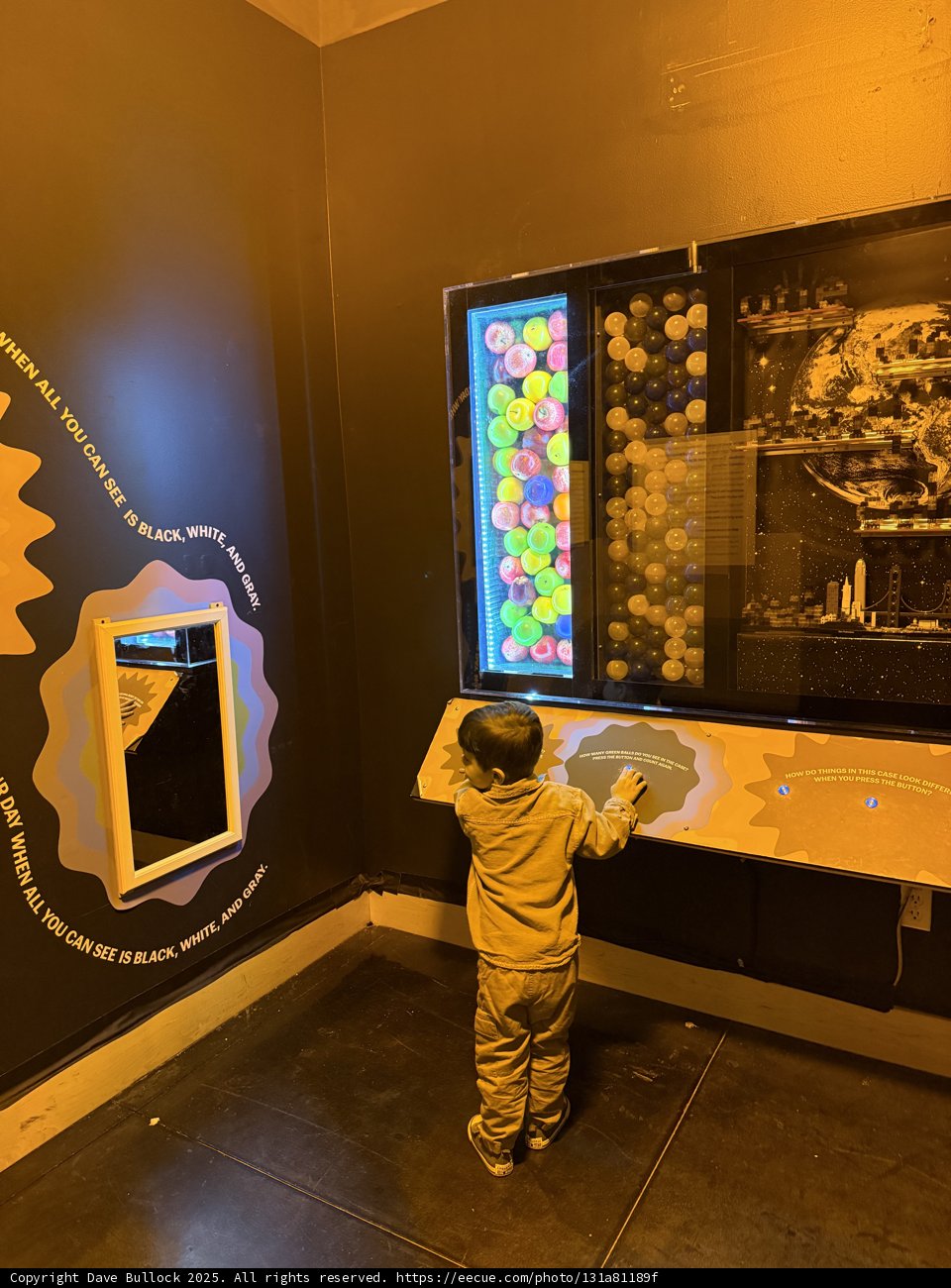 Curious Explorations