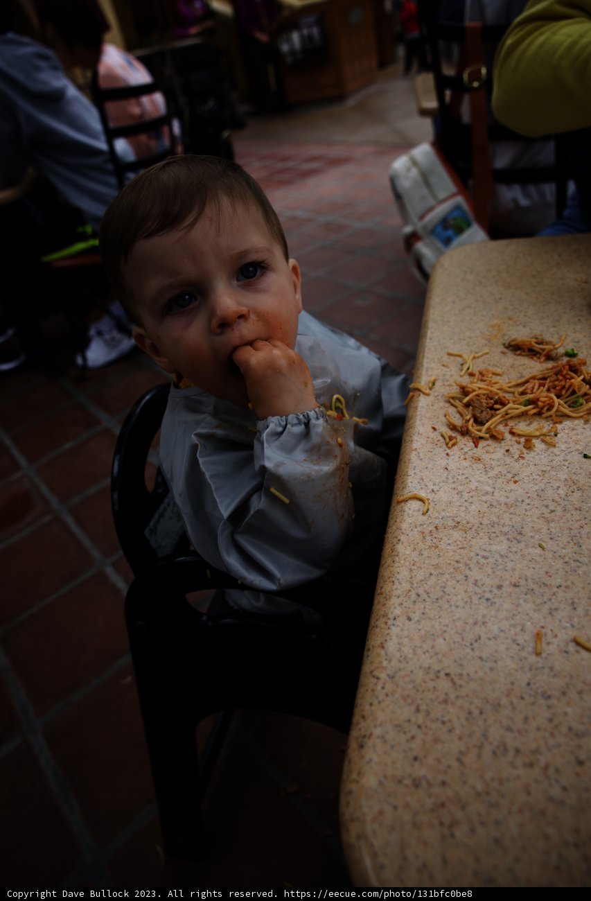 Little Gourmet's First Disneyland Feast