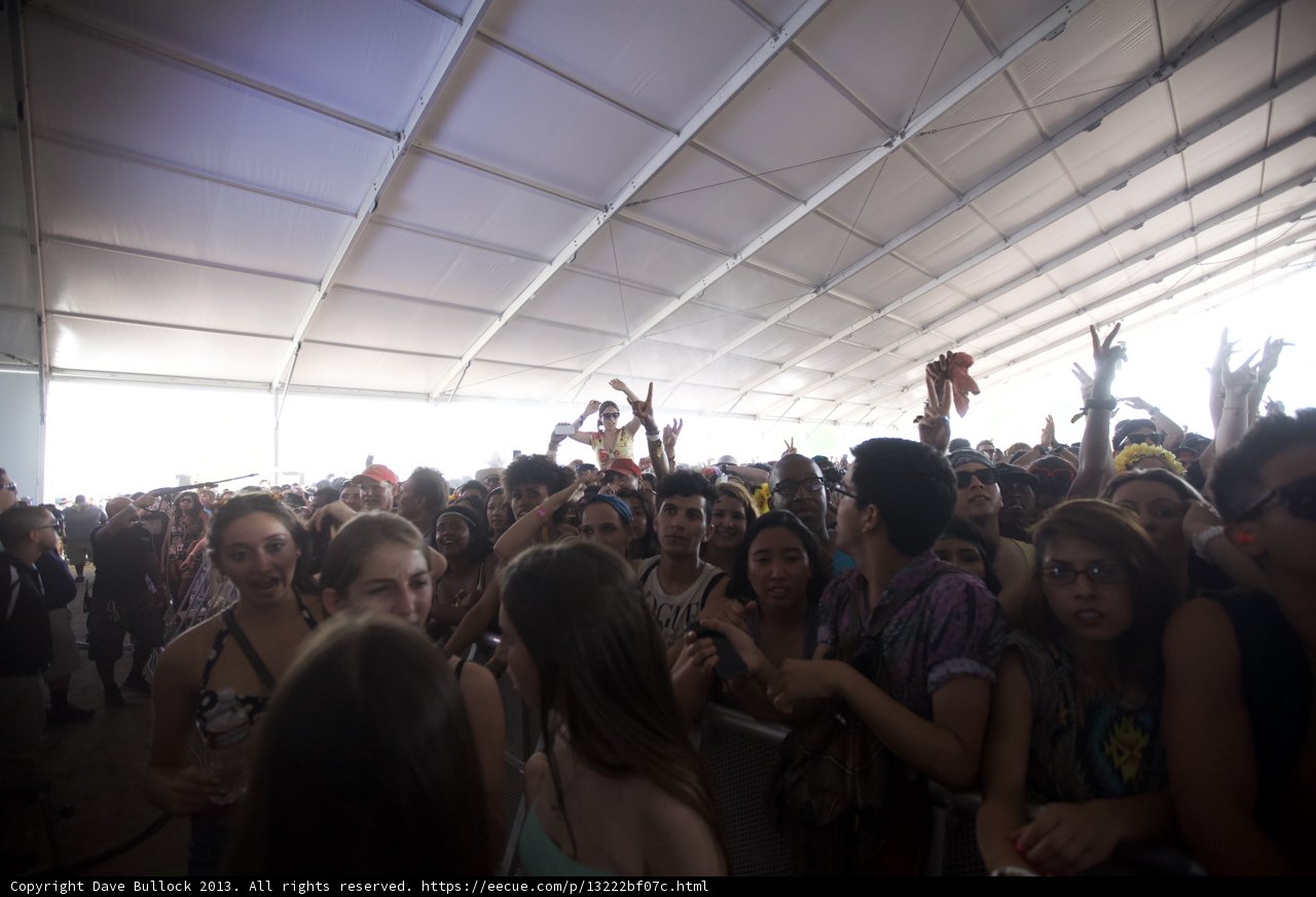 Faces of the Fest: A Vibrant Concert Crowd