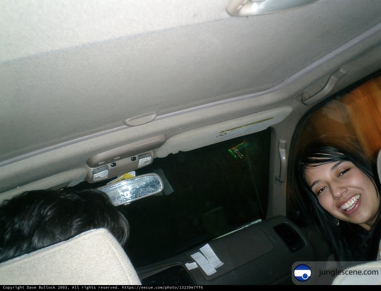 Happy Bride Sitting in the Back Seat
