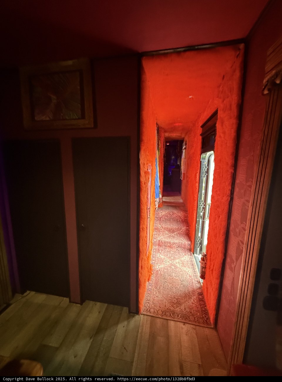 Enigmatic Corridor of Color