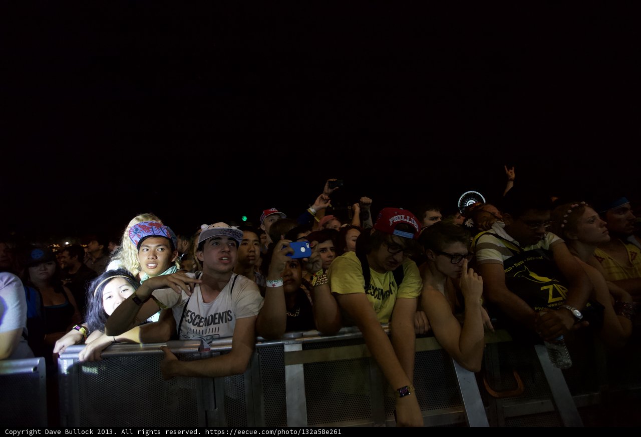 Nighttime Concert Crowd