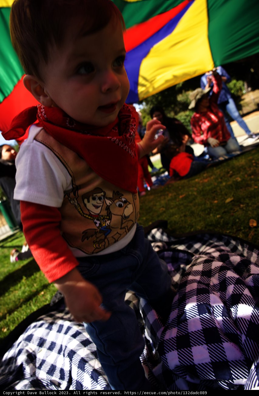 Wesley's First Rustic Rodeo