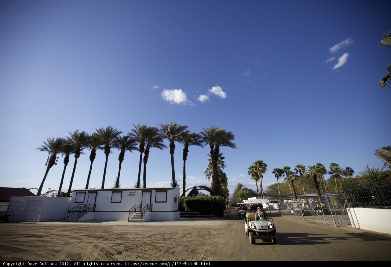 Four-Wheeler Adventure Among Palm Trees