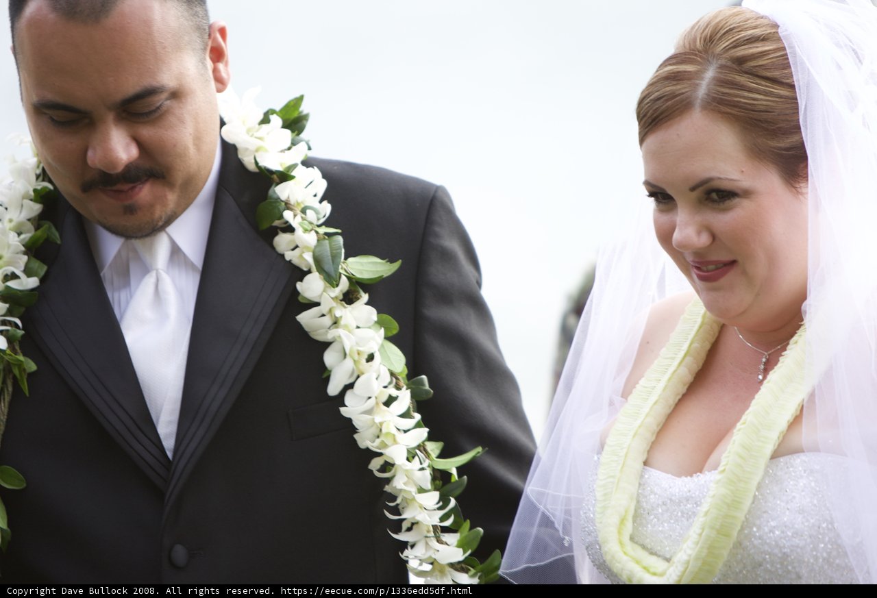 Wedding Bliss in Hawaii