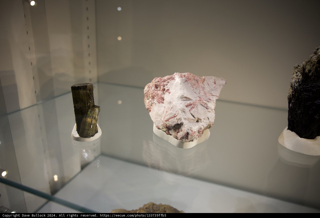 Mineral Marvels at Wesley's Birthday