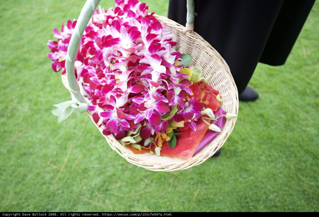 Blooming in Hawaii