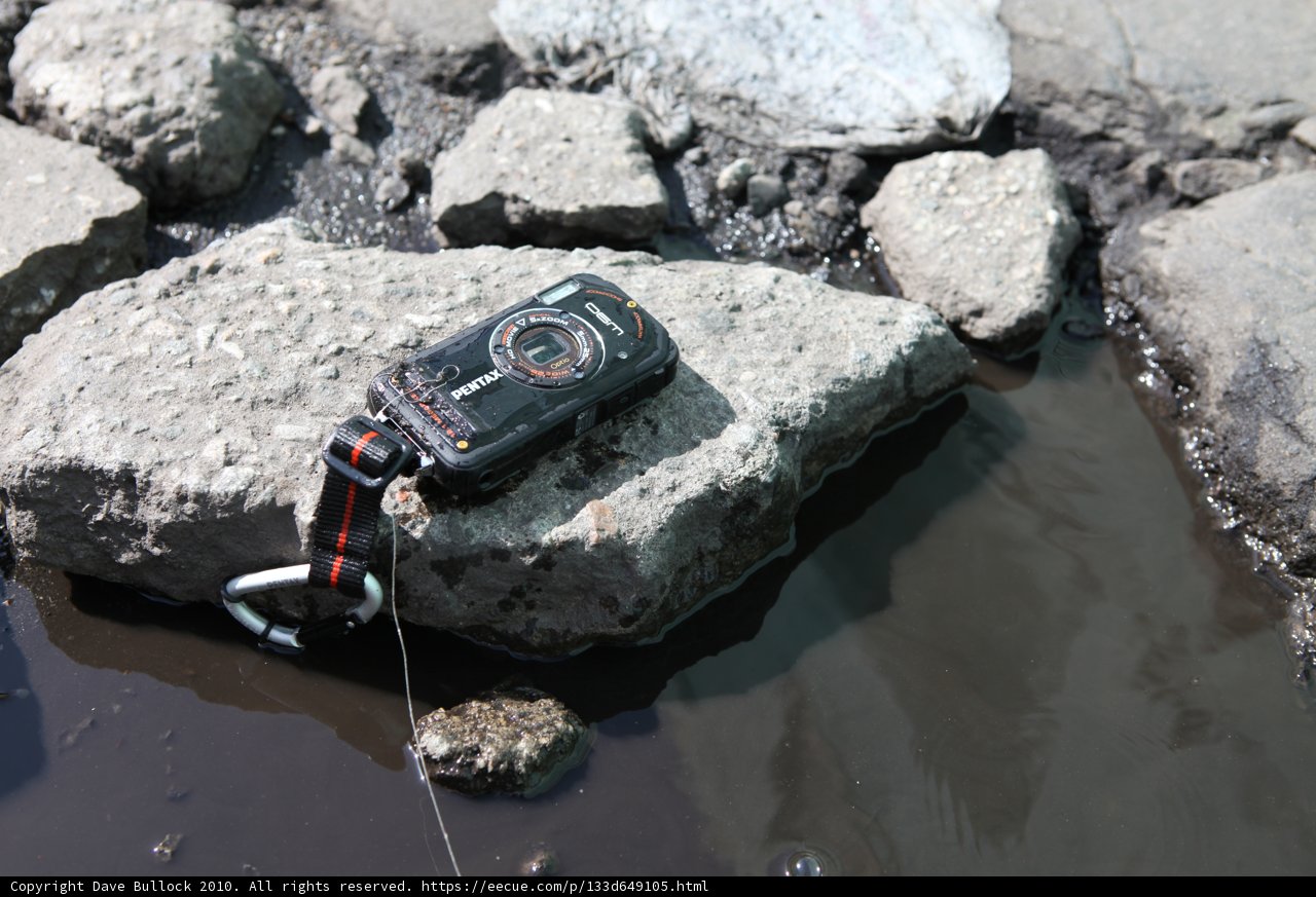 Camera in the Wild