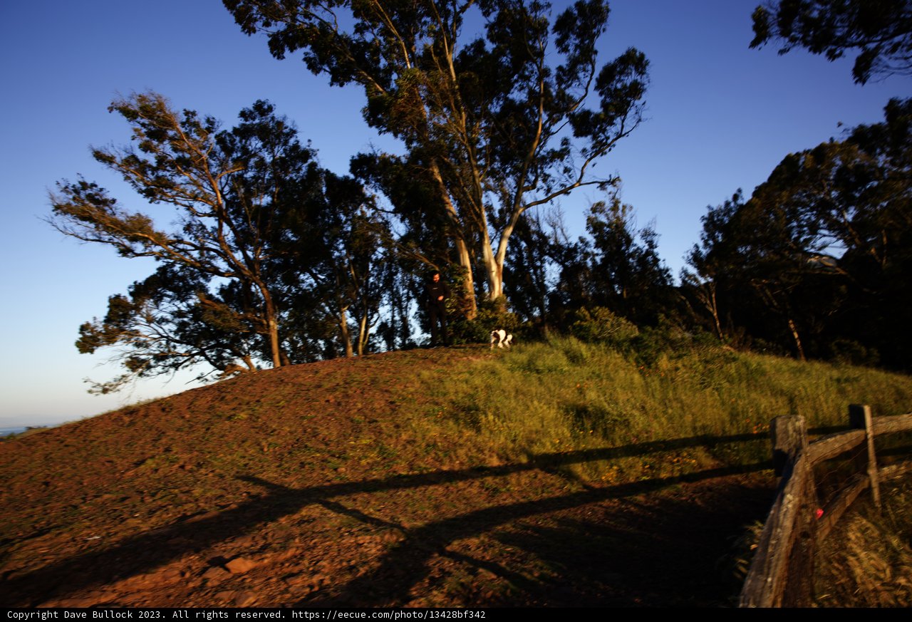 Serenity on the Hill