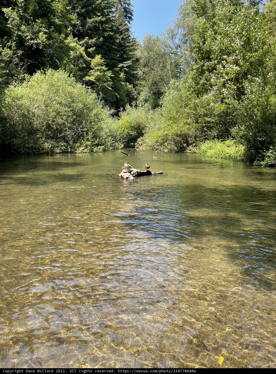 Floating in Nature's Wonderland