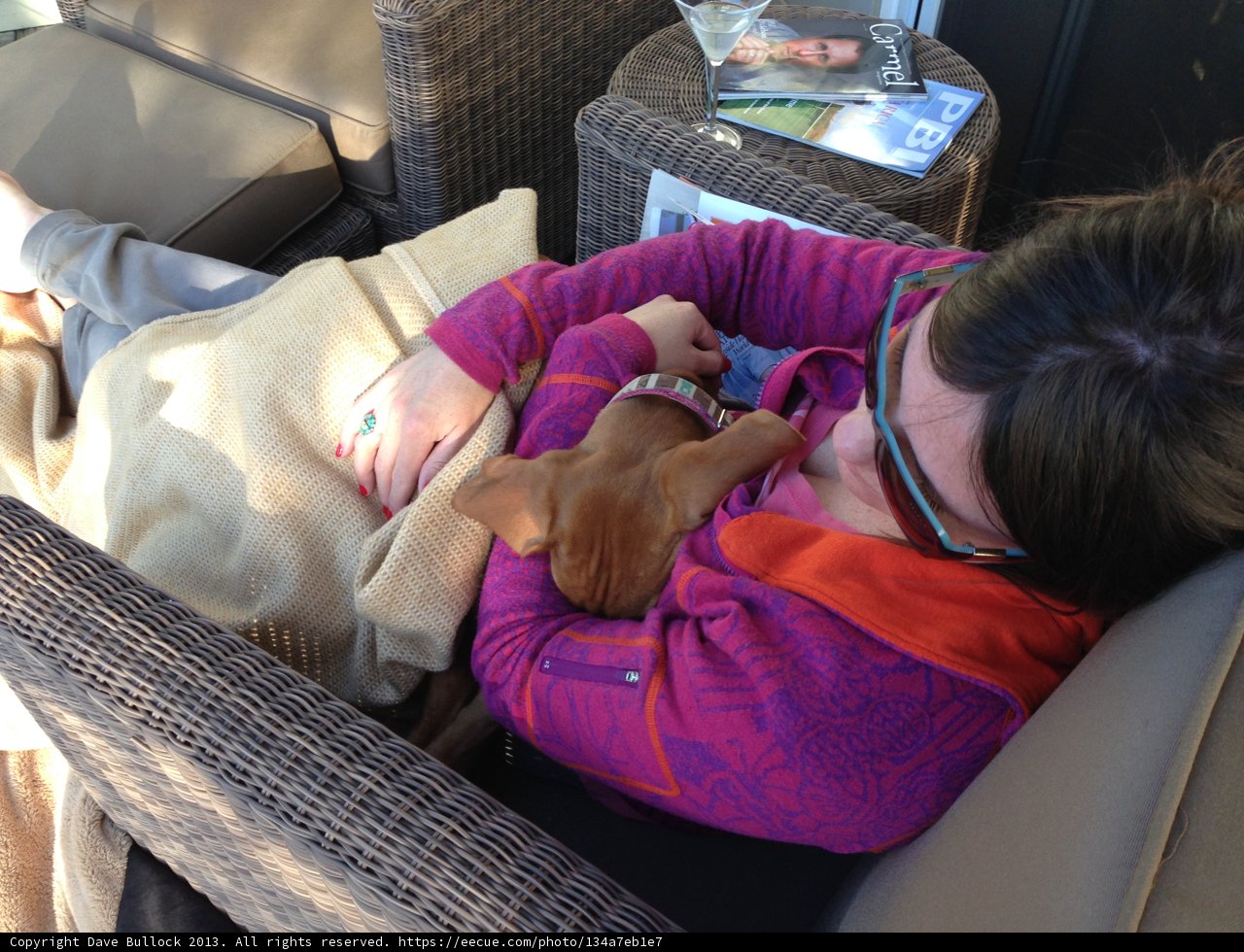 Cozy Afternoon with My Furry Friend