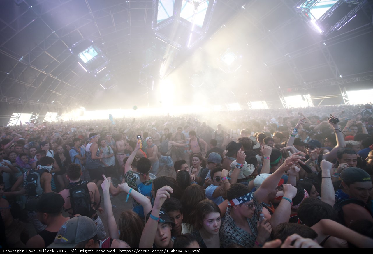Rocking with the Crowd at Coachella 2016
