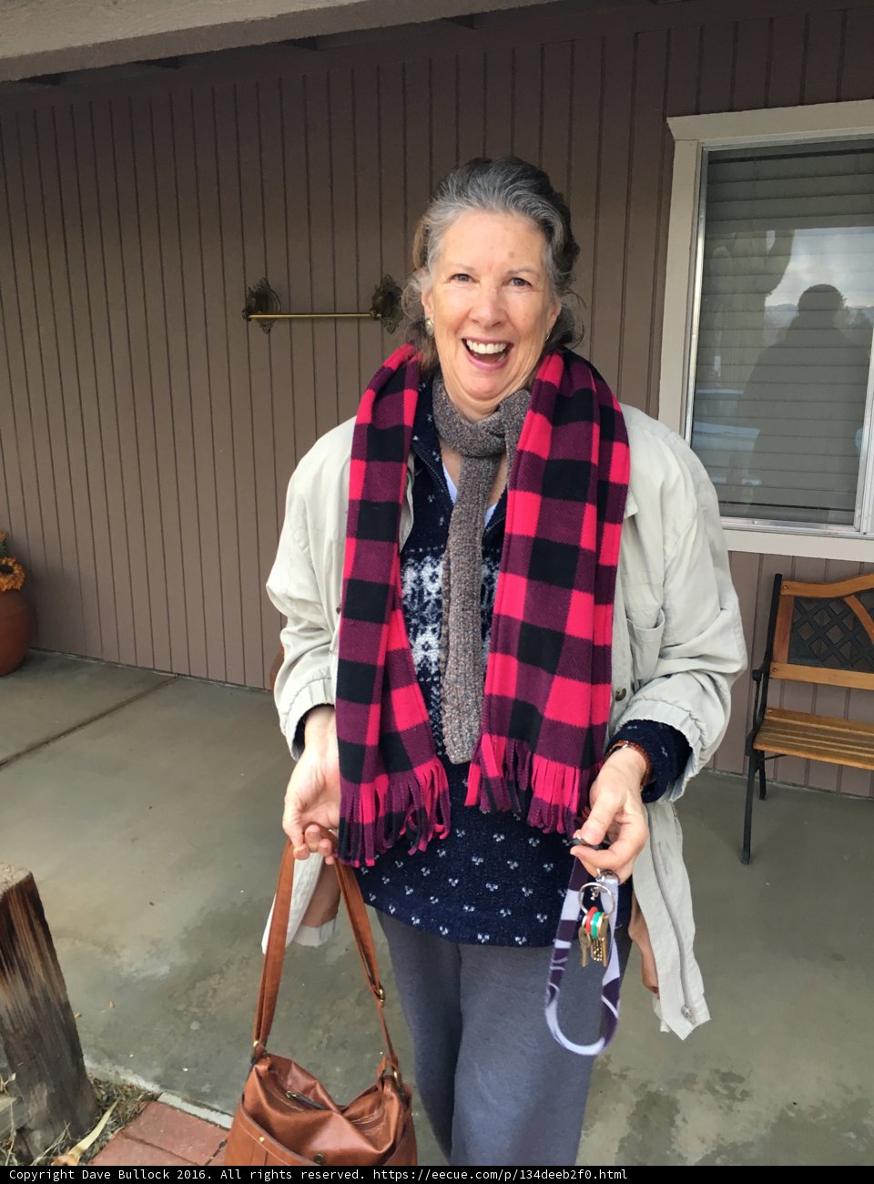Plaid and Purse